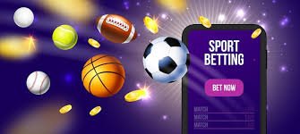 81bet16